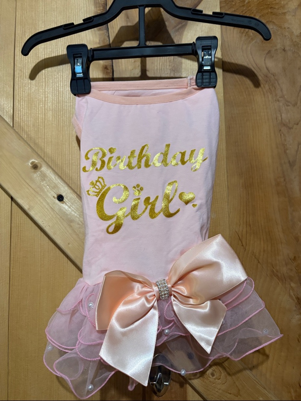 Birthday Girl Pink Dog Dress with Gold Script